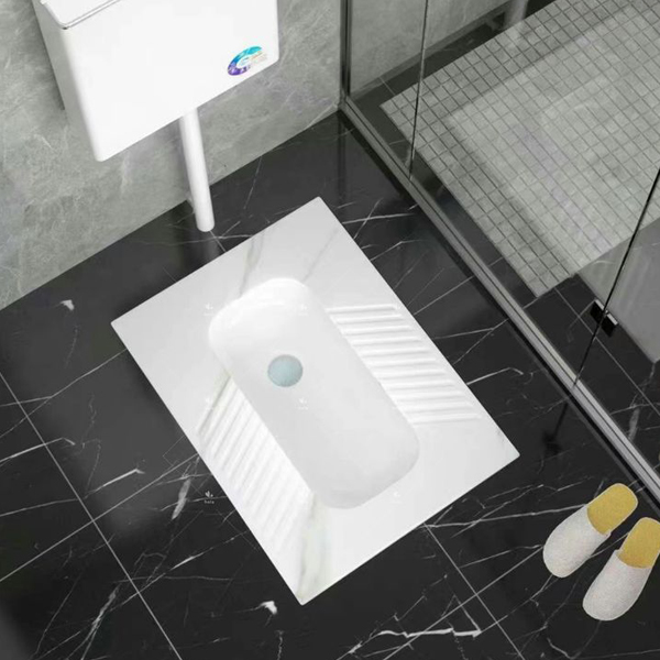 8. Squatting Pan Toilet