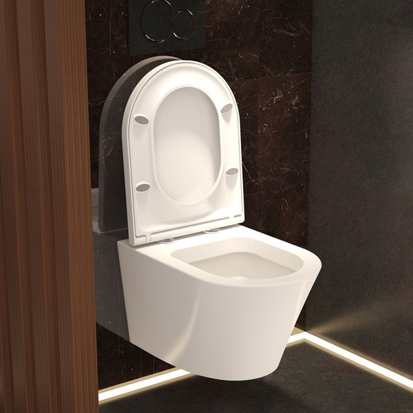 3. Wall Hung Toilet
