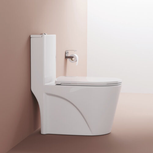 EXOTIC ONE PIECE TOILET