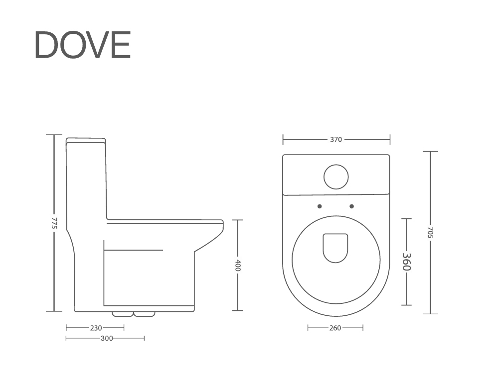 Designer one piece toilet