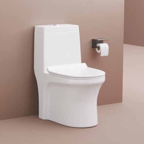 HONEY ONE PIECE TOILET