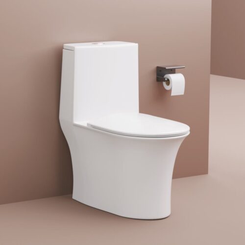 TOPIC ONE PIECE TOILET
