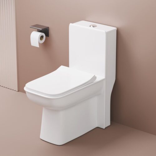 CRISIL ONE PIECE TOILET
