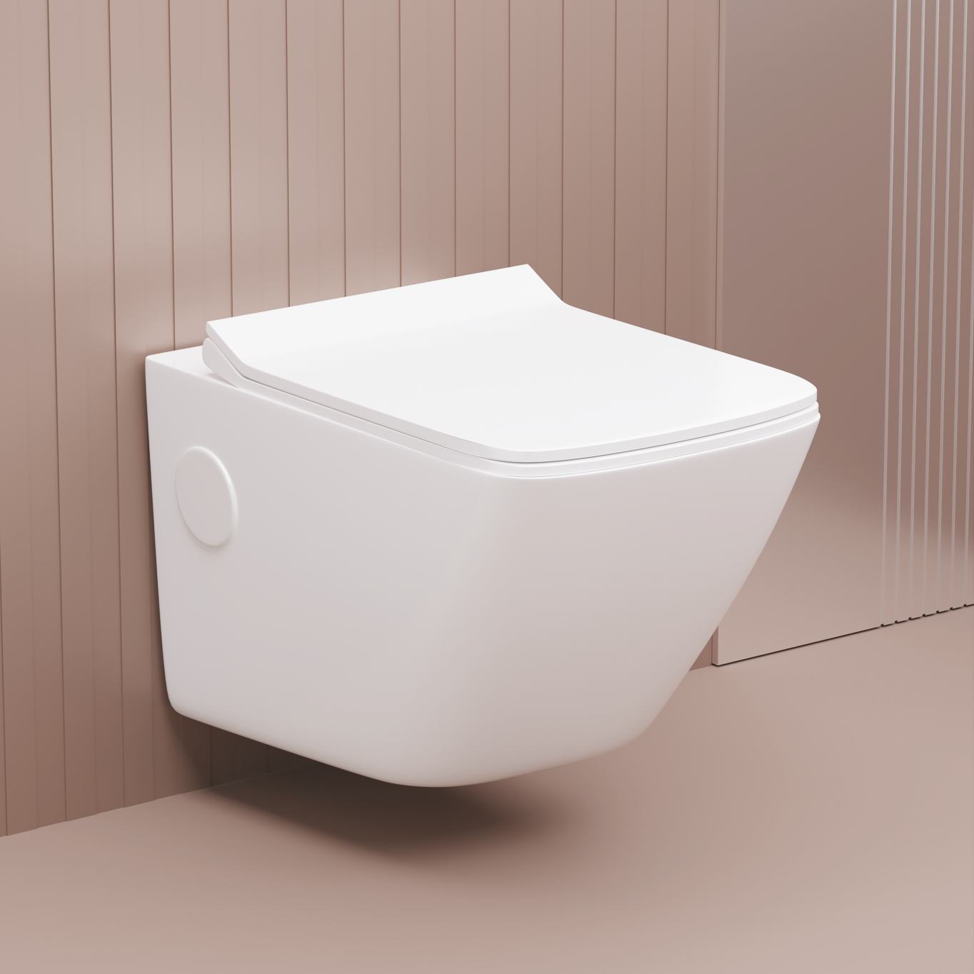 Round Shape Europe Rimless Wall Mounted Toilet Floating Toilet Wc